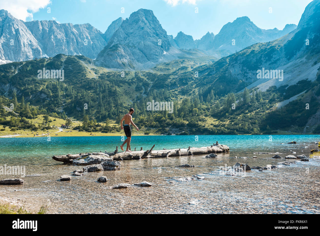Austria, Tirolo, giovane uomo al Lago di bilanciamento Seebensee sul tronco di albero Foto Stock