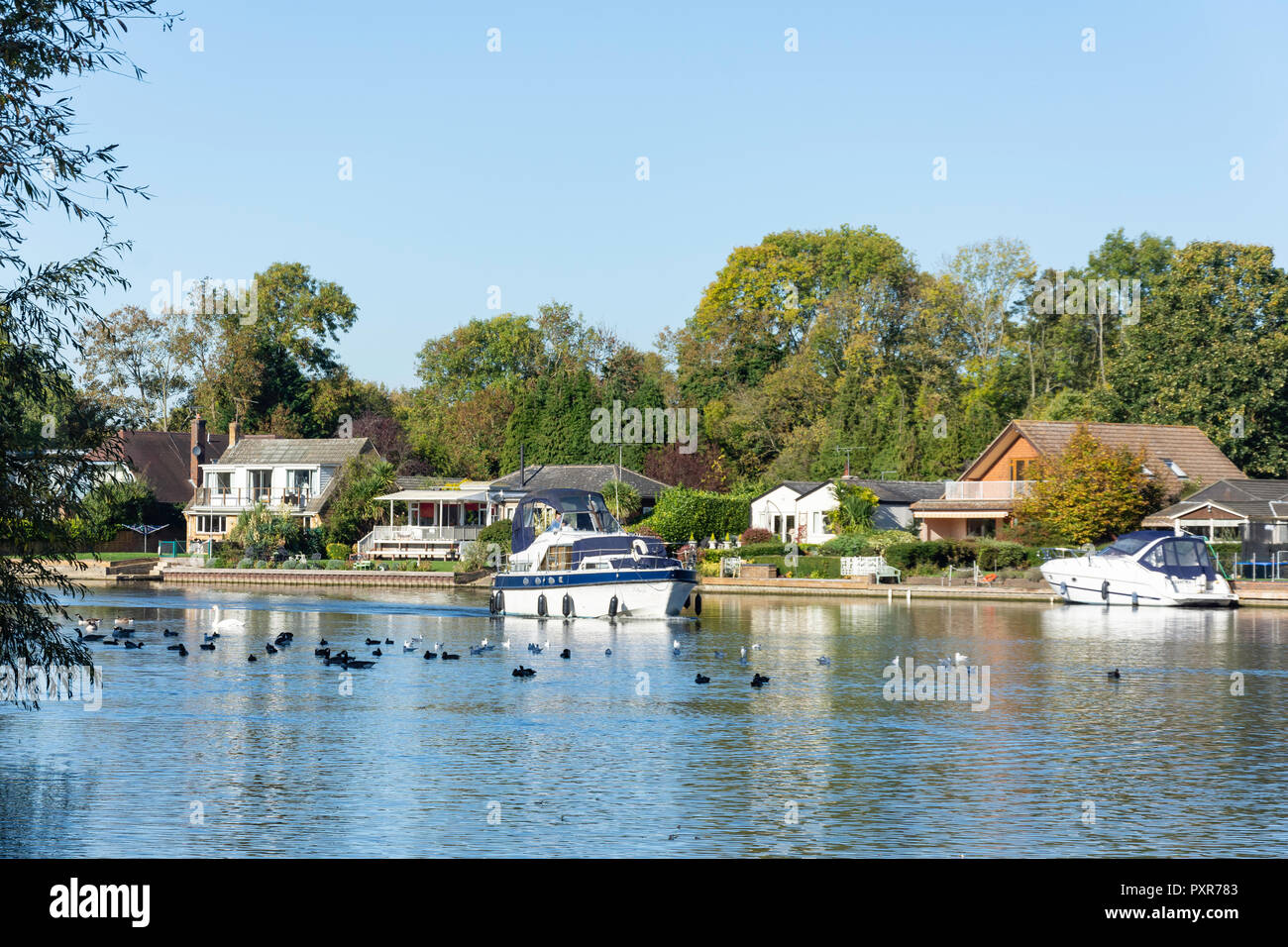 Il fiume Tamigi a Runnymede, Surrey, England, Regno Unito Foto Stock