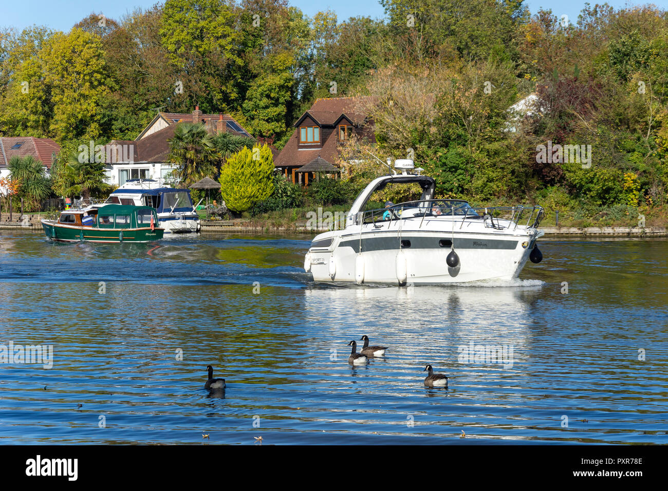 Il fiume Tamigi a Runnymede, Surrey, England, Regno Unito Foto Stock