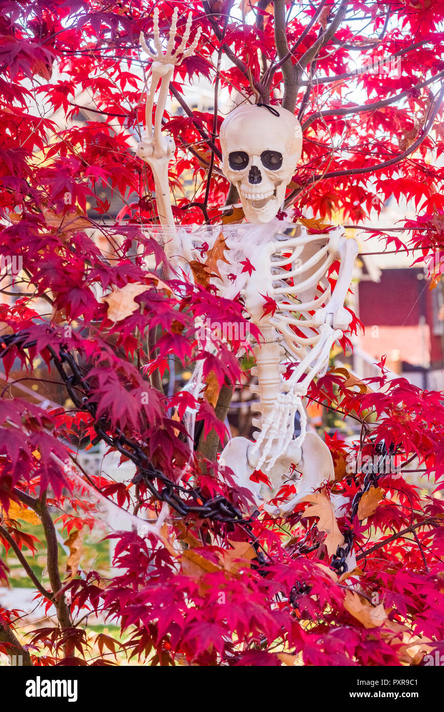 Plastica scheletro di Halloween in rosso lasciato tree Foto Stock