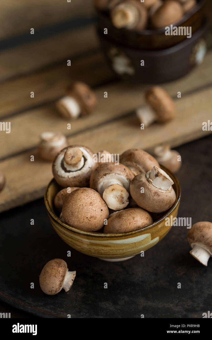 Ciotola di crimini di funghi Foto Stock