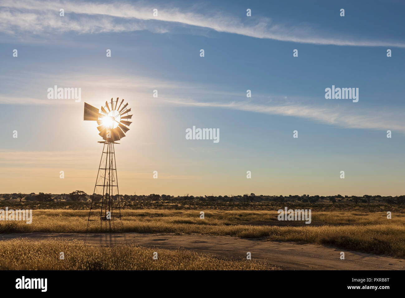 Africa, Botswana, Kgalagadi Parco transfrontaliero, il Kalahari, Il vento ruota a waterhole Lanklaas Foto Stock