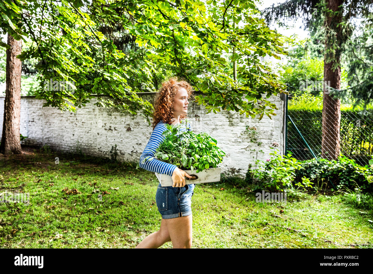 Giovane donna con erbe aromatiche fresche in una scatola in giardino Foto Stock