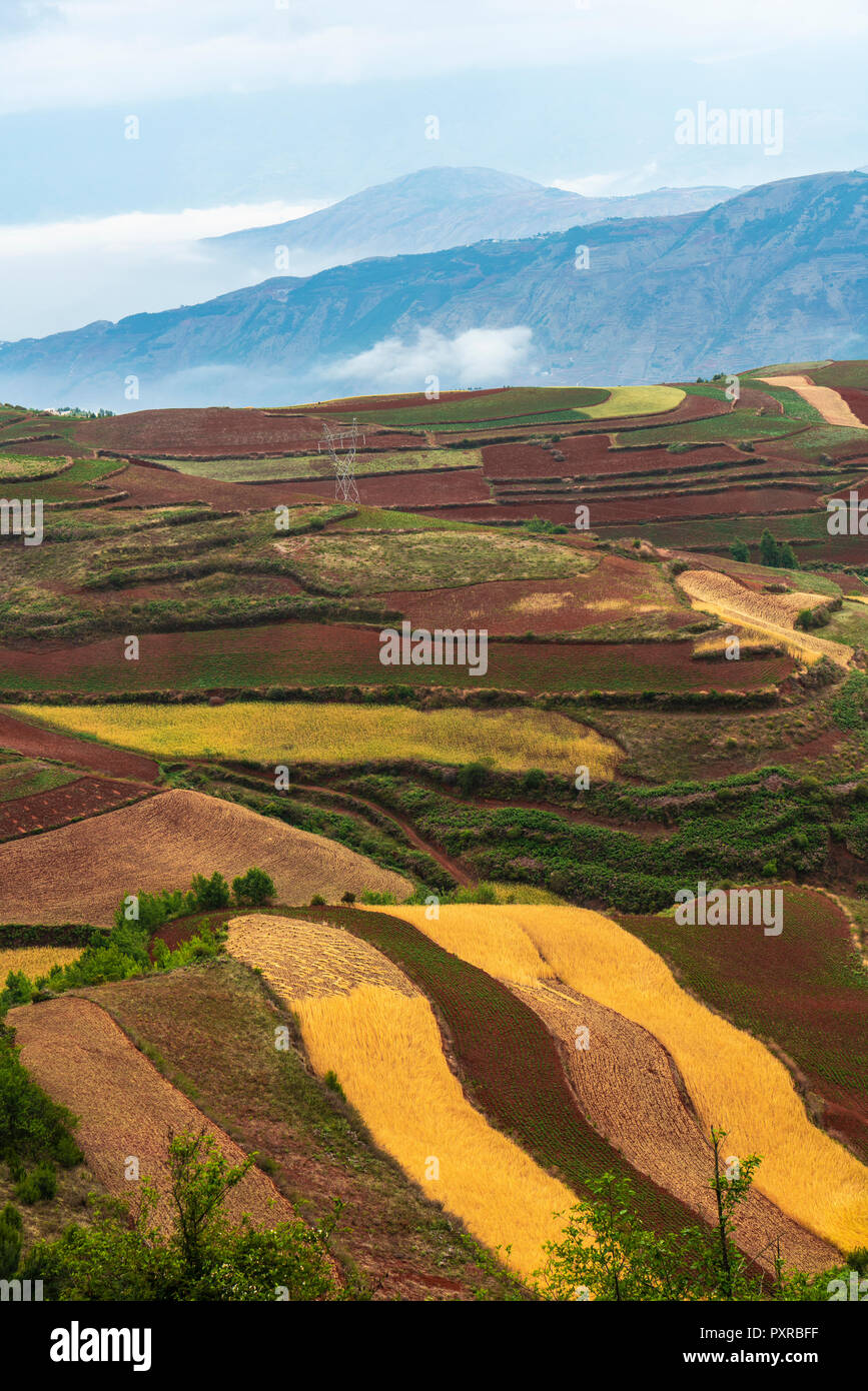 La Cina, nella provincia dello Yunnan, Dongchuan, terra rossa Foto Stock