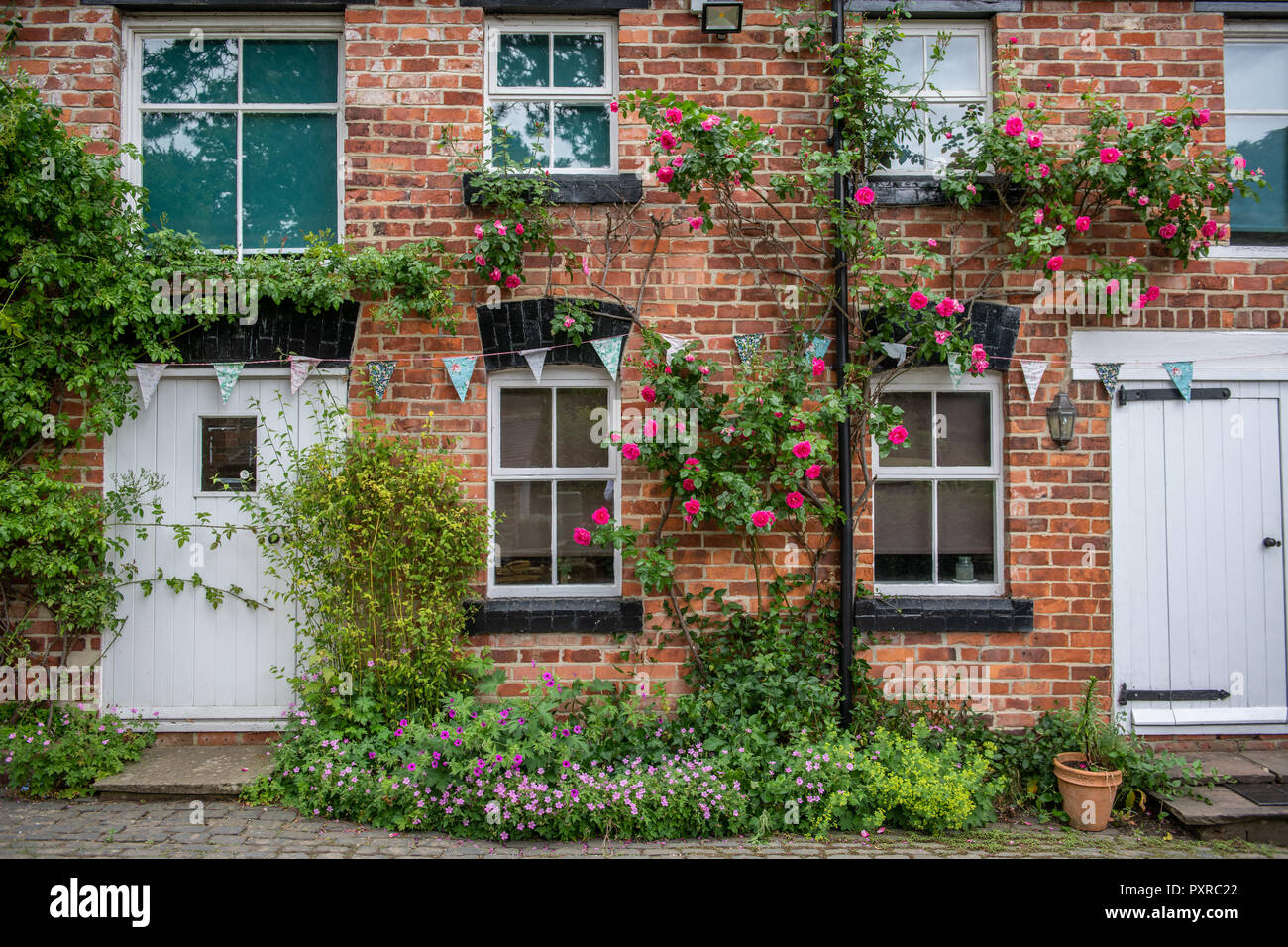 Due case sedersi ricoperti di fiori e piante nello Yorkshire, Regno Unito Foto Stock