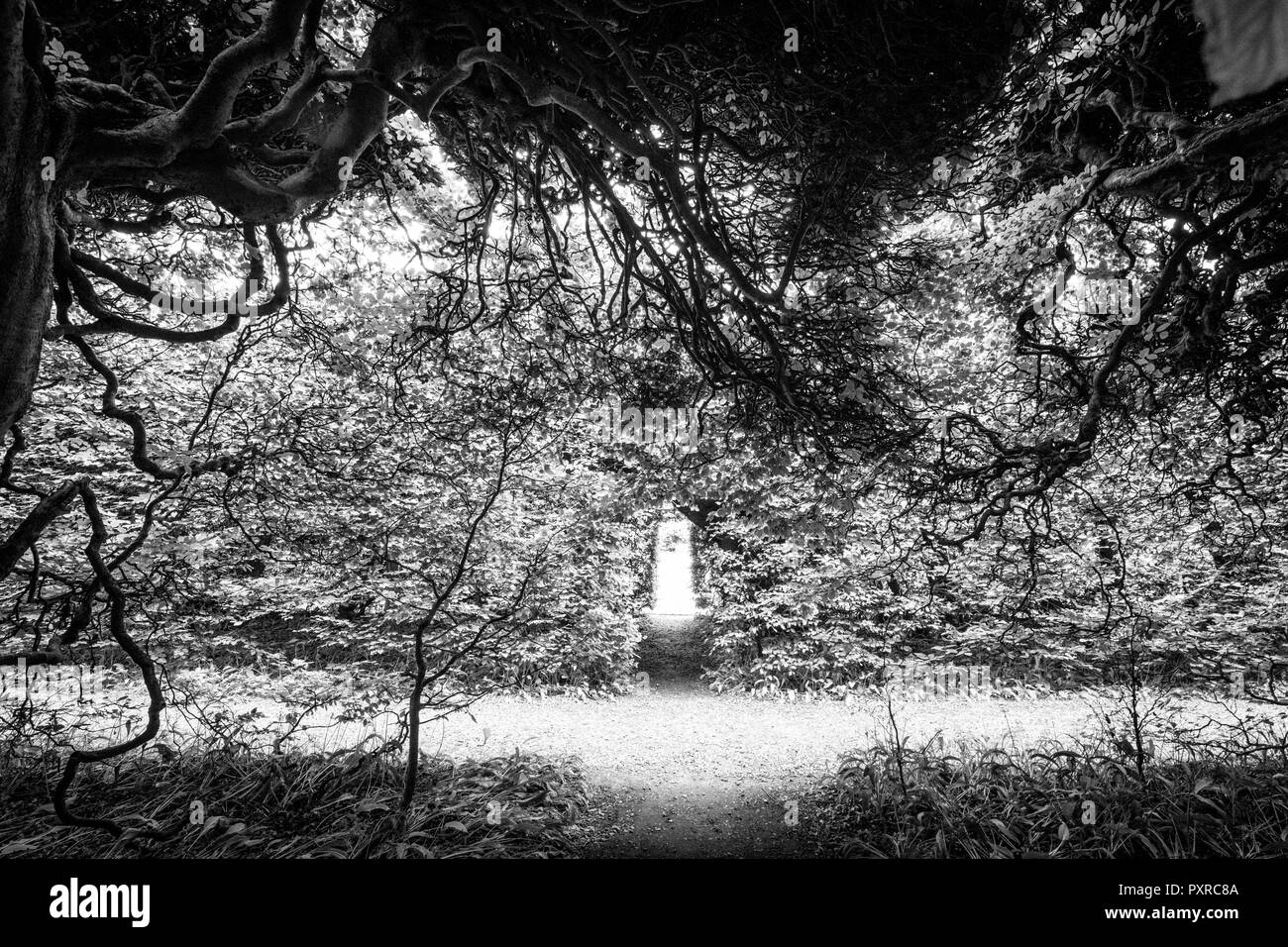 Ingresso in Hedgebery, Levens Hall , Kendal, Cumbria, Regno Unito Foto Stock