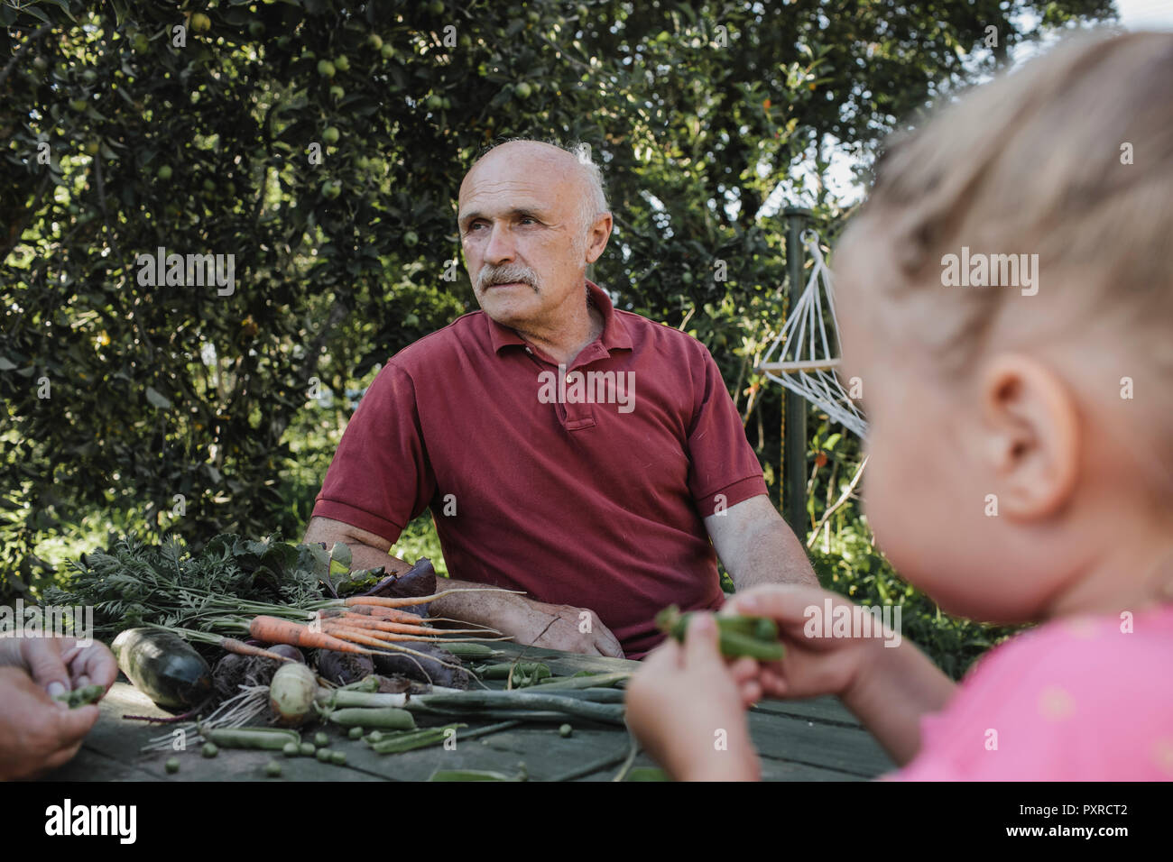 Ritratto di uomo senior di trascorrere il tempo con la famiglia in giardino Foto Stock