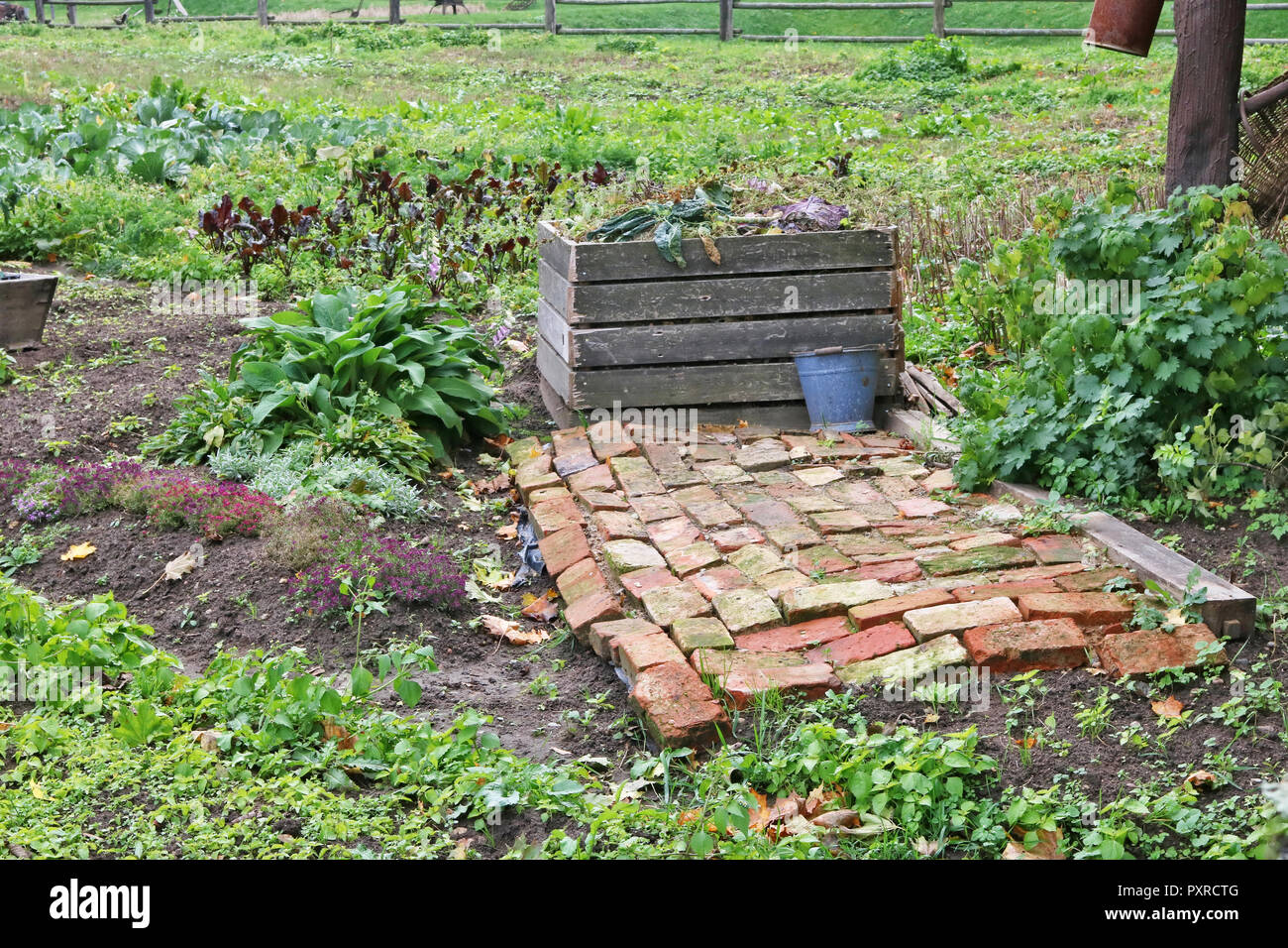 Il lavoro stagionale in autunno del concetto di giardino. Contenitore per tavole di legno con sbiadito piante morte sul letto di verdure Foto Stock