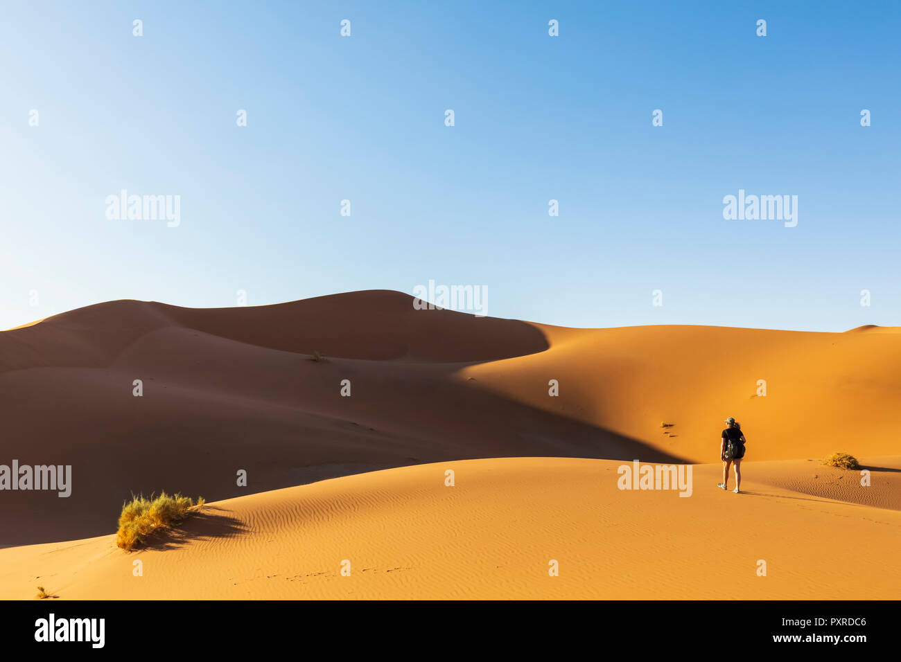 In Africa, la Namibia, il deserto del Namib Naukluft, Parco Nazionale, turista femminile camminando sulle dune Foto Stock