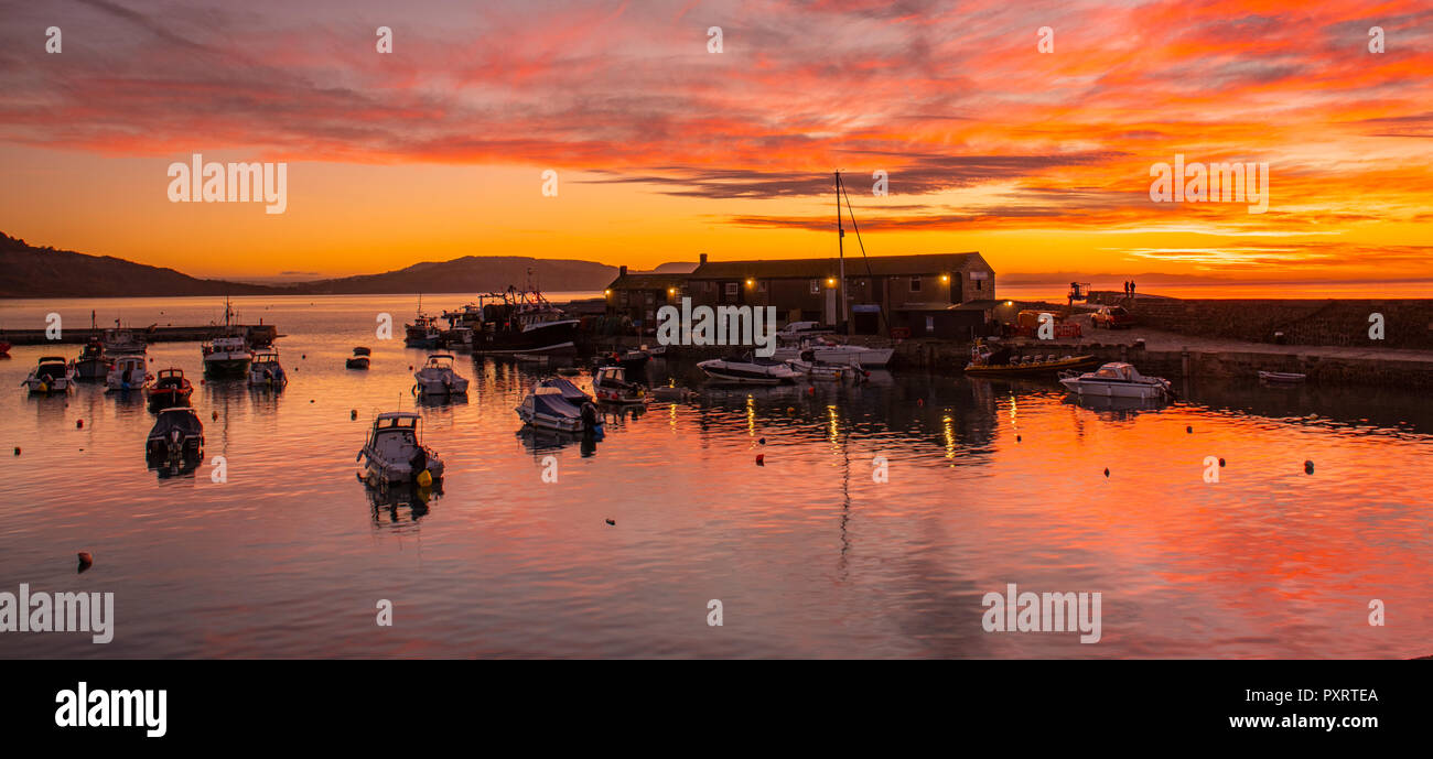 Lyme Regis, Dorset, Regno Unito. Il 24 ottobre 2018. Regno Unito Meteo: lo storico porto di Cobb a Lyme Regis si illumina con vibrante colore di autunno a sunrise all'inizio di una fredda giornata. Credito: Celia McMahon/Alamy Live News Foto Stock