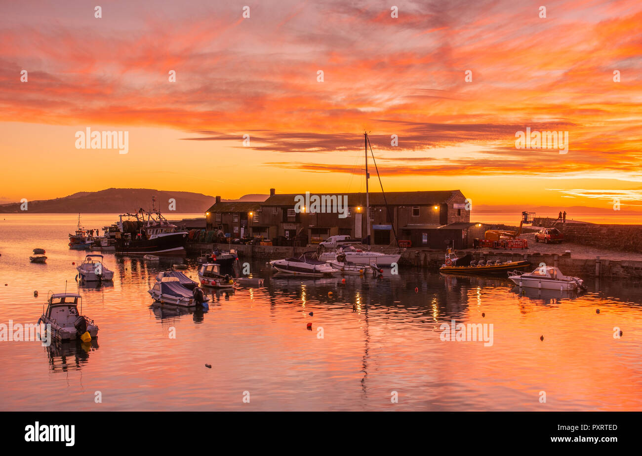Lyme Regis, Dorset, Regno Unito. Il 24 ottobre 2018. Regno Unito Meteo: lo storico porto di Cobb a Lyme Regis si illumina con vibrante colore di autunno a sunrise all'inizio di una fredda giornata. Credito: Celia McMahon/Alamy Live News Foto Stock