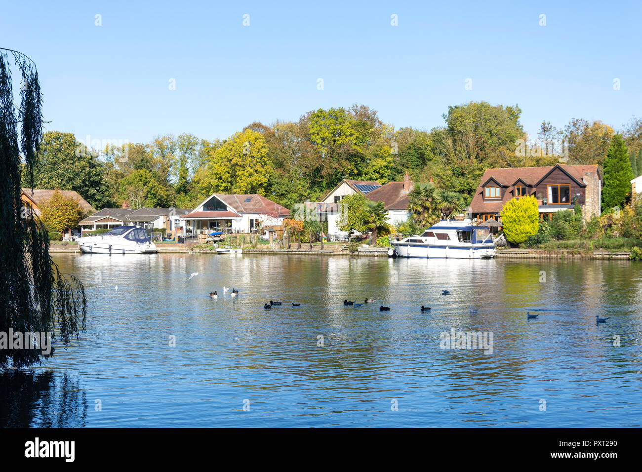 Riverside case sulla riva del fiume Tamigi, Runnymede, Surrey, England, Regno Unito Foto Stock