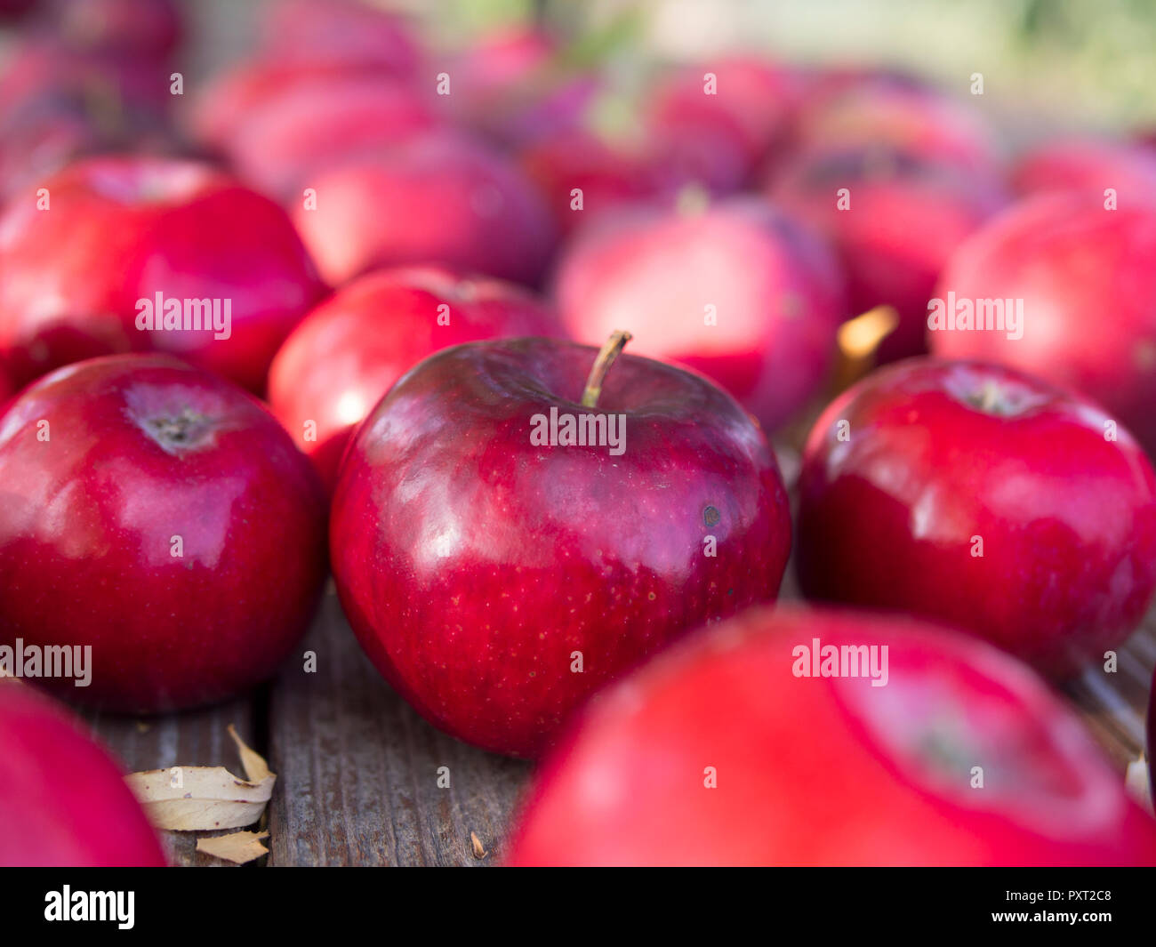 Le mele rosse giacente sul tavolo di legno. Foto Stock