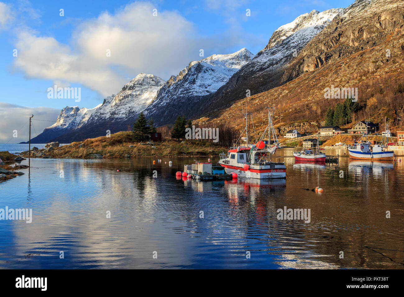 Ersfjordbotn Autunno in inverno paesaggio panoramico immagini prese su Kvaloya isola nei pressi di Tromso Norvegia Foto Stock