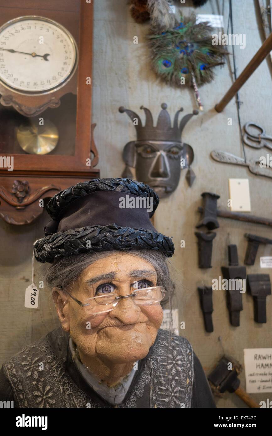 Un assortimento di stranezze della Marsh gratis Museum di Long Beach, Washington, Stati Uniti d'America. Foto Stock