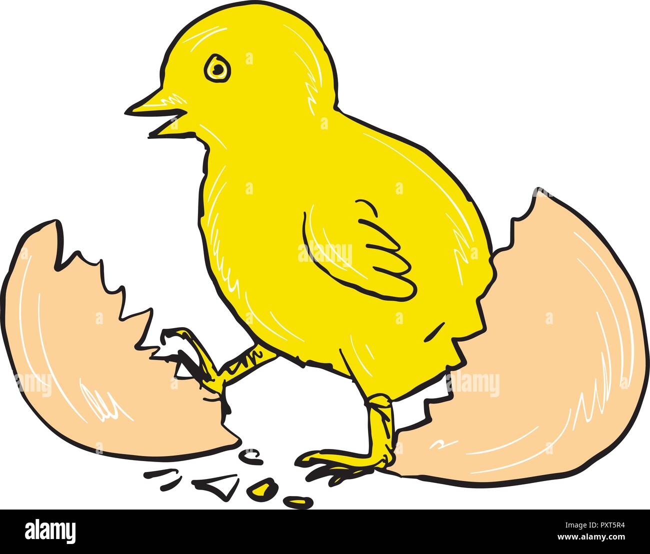 Disegno stile sketch illustrazione di un pulcino di cracking fuori da cova delle uova isolate su sfondo bianco. Illustrazione Vettoriale