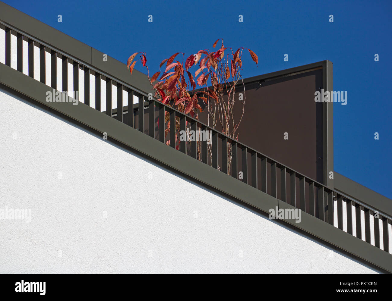 Edificio bianco a parete con diagonale marrone a ringhiera di balcone, impianto di rosso e blu cielo Foto Stock