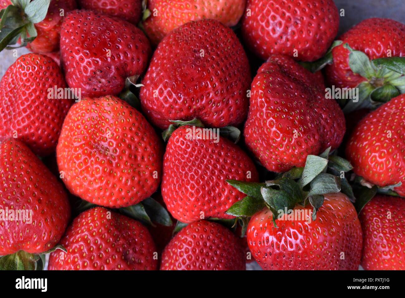 Appena raccolto le fragole di sfondo Foto Stock