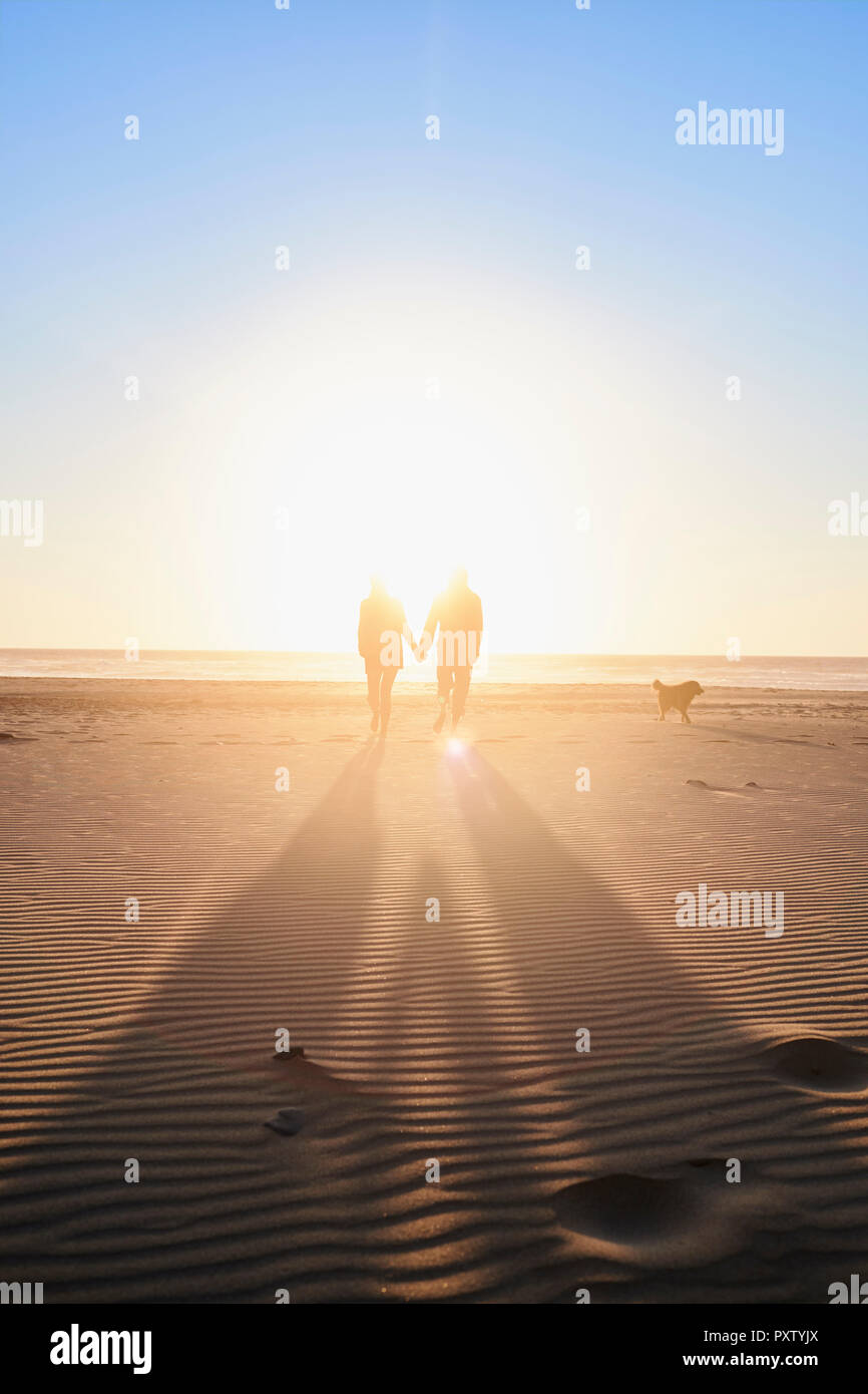 Il Portogallo, Algarve, giovane con il cane a camminare sulla spiaggia al tramonto Foto Stock