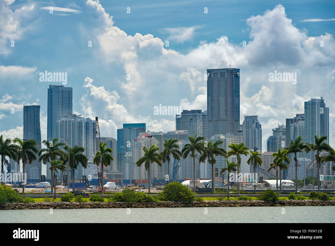 Stati Uniti d'America, Florida, Miami, Downtown, skyline con alta sorge nel centro cittadino di Miami e di palme con le nuvole sopra Foto Stock