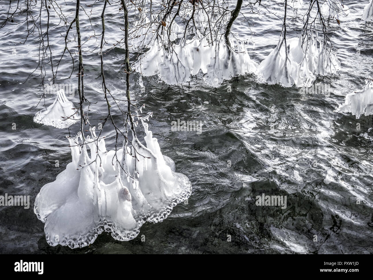 La formazione di ghiaccio sui rami in inverno al lago di Starnberg Foto Stock