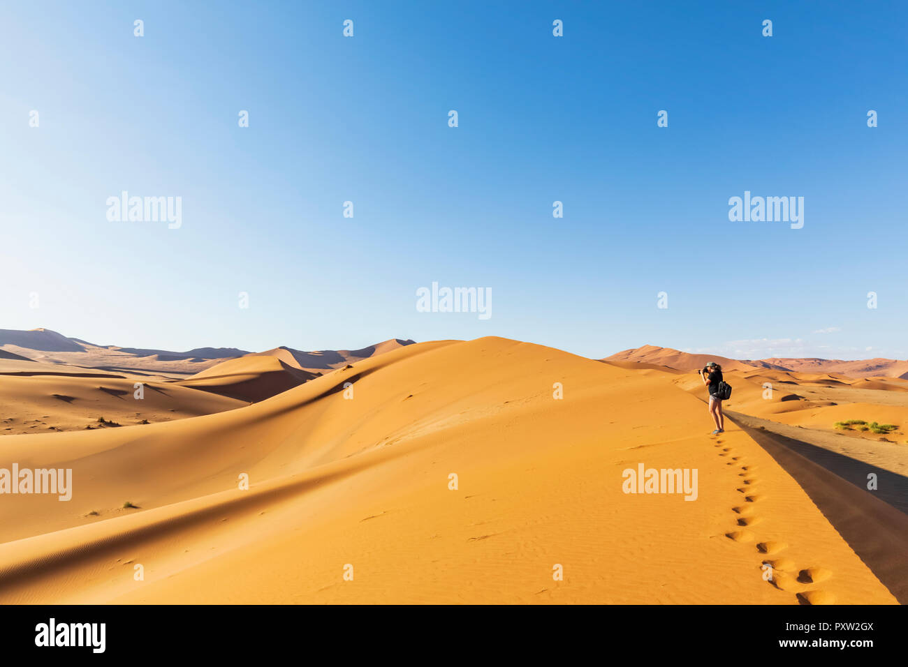 In Africa, la Namibia, il deserto del Namib Naukluft, Parco Nazionale, turista femminile camminando sulle dune Foto Stock