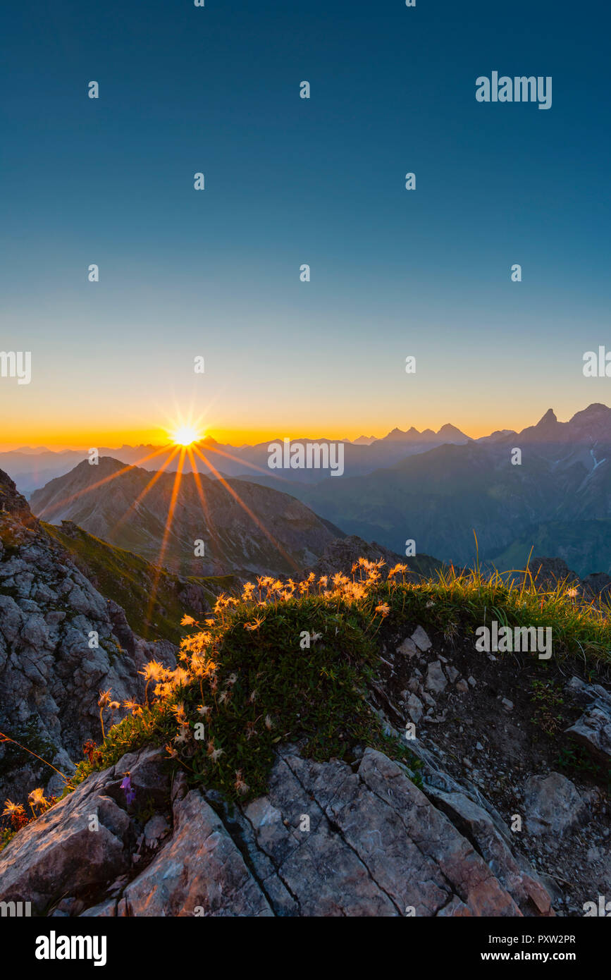 In Germania, in Baviera, Allgaeu, Allgaeu Alpi, Alpino "pasque fiore all'alba Foto Stock