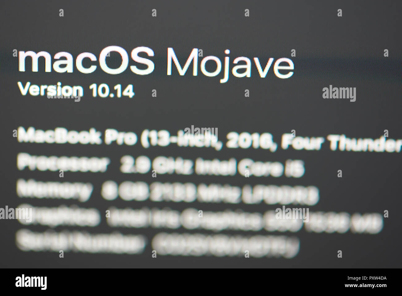 New york, Stati Uniti d'America - 23 ottobre 2018: Nuova macOs Mojave versione su schermo portatile vista ravvicinata Foto Stock