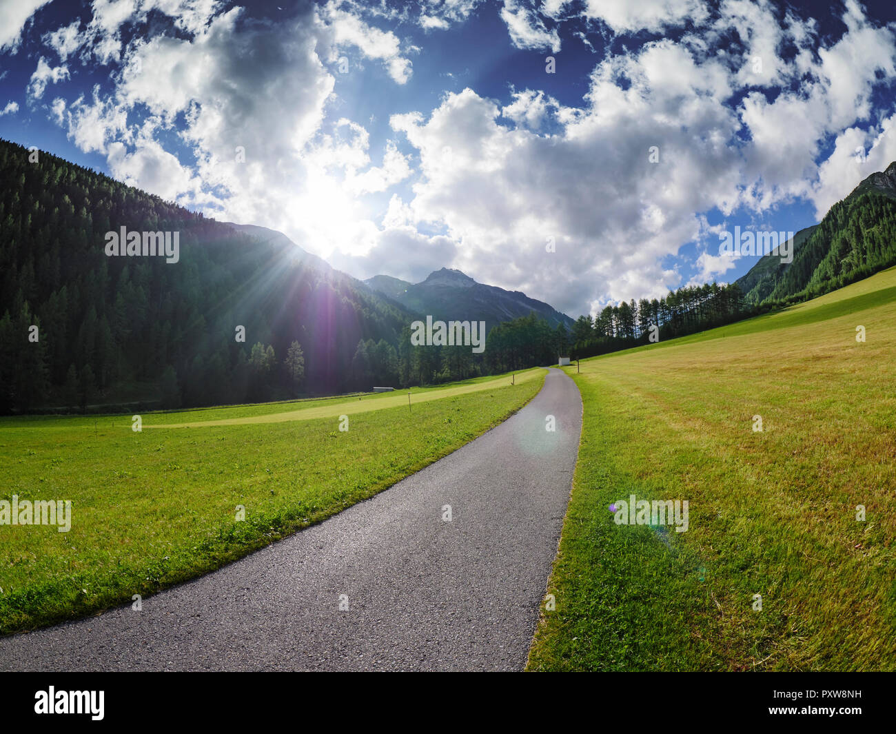 L'Italia, Alto Adige, percorso verso Slingia Pass Foto Stock