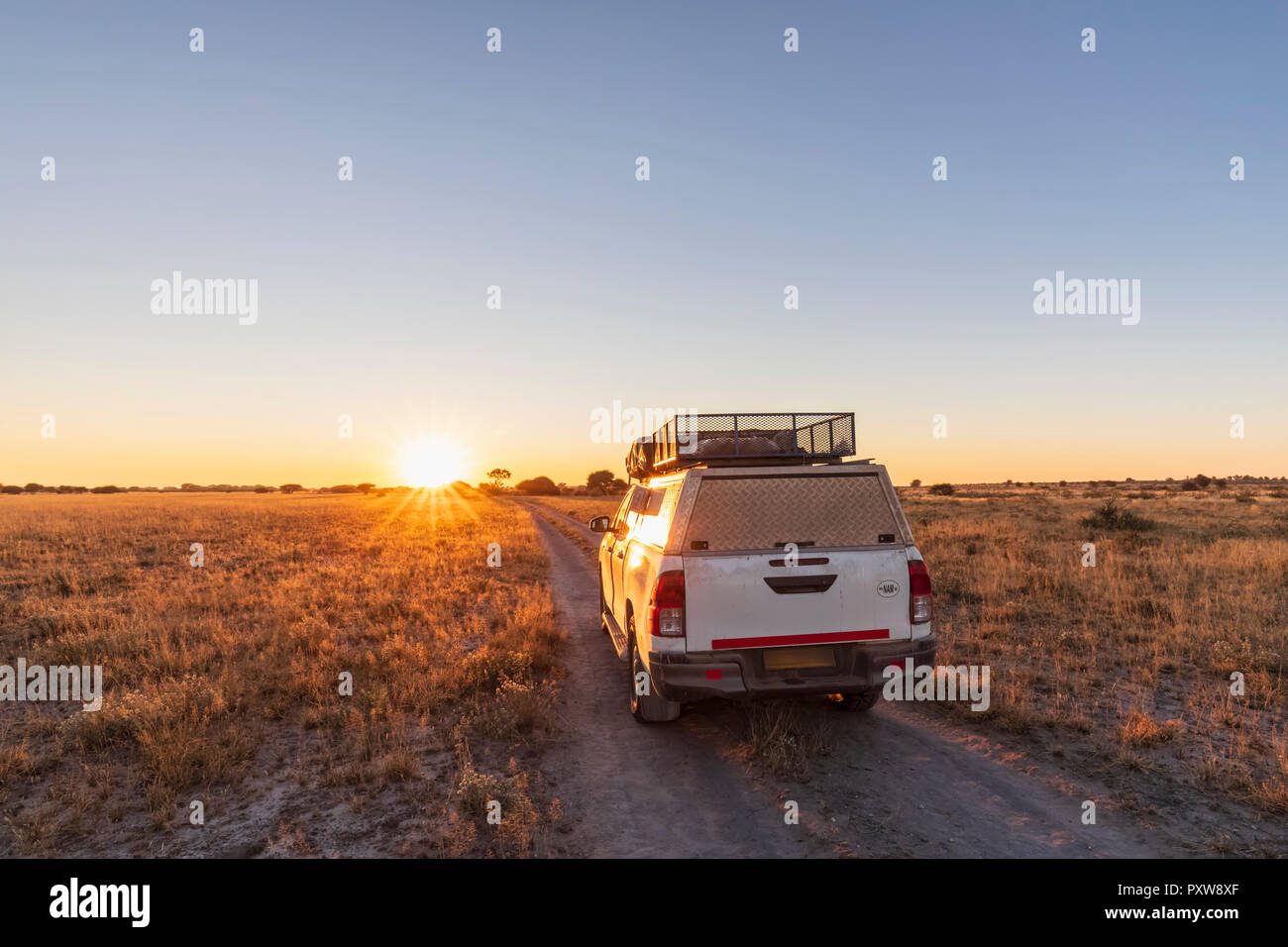 Il Botswana, il Kalahari, Central Kalahari Game Reserve, veicolo fuoristrada su strada di ghiaia di sunrise Foto Stock