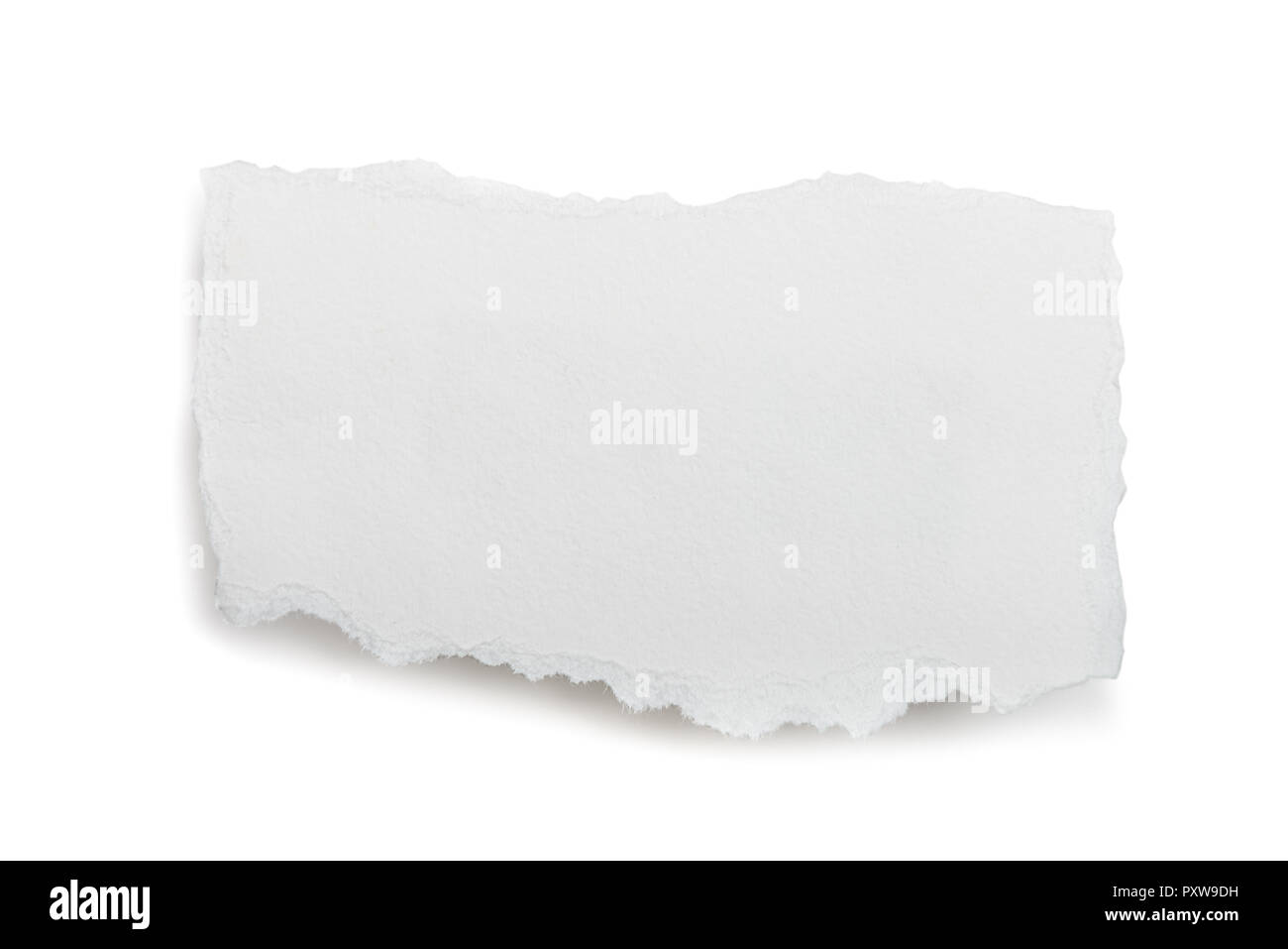 Ð•Ñ‰ÐºÑ' white strappato pezzo di carta su sfondo bianco Foto Stock