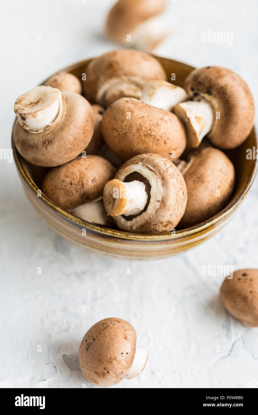 Ciotola di crimini di funghi Foto Stock