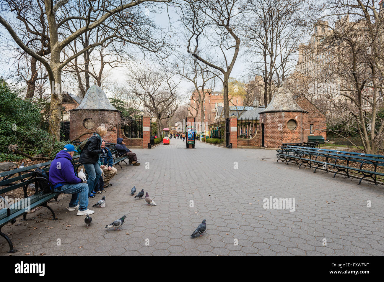 Piccioni e panchine in mattone cancelli di ingresso al Central Park Zoo di New York City. Foto Stock