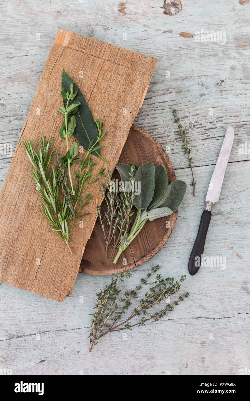 Fresche erbe provenzali, coltello e tavole di legno Foto Stock