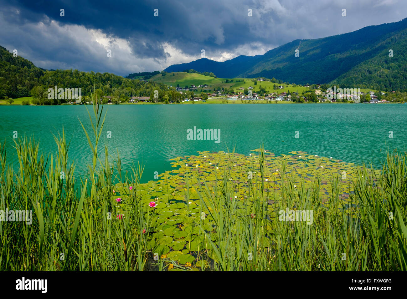 Ustria, Tirolo, Vorderthiersee, vista del lago Thiersee Foto Stock