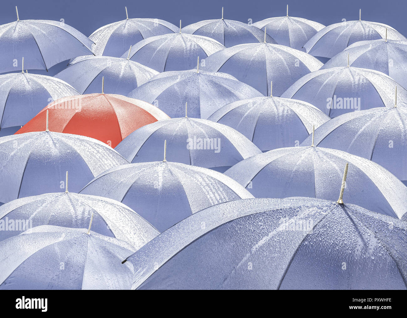 Viele Regenschirme Foto Stock