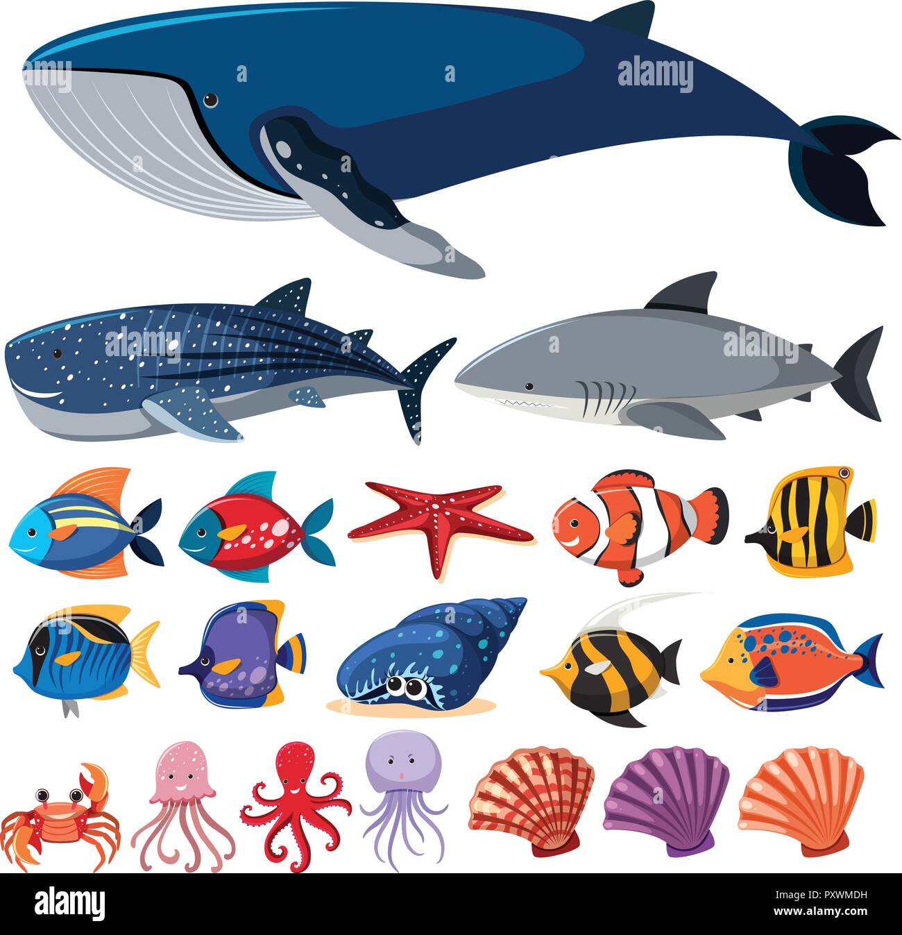 Diversi tipi di creature del mare su sfondo bianco illustrazione Illustrazione Vettoriale
