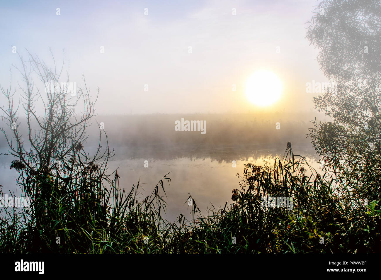 Drammatico crepuscolo mistico paesaggio con Rising Sun, albero, reed e velatura su acqua Foto Stock