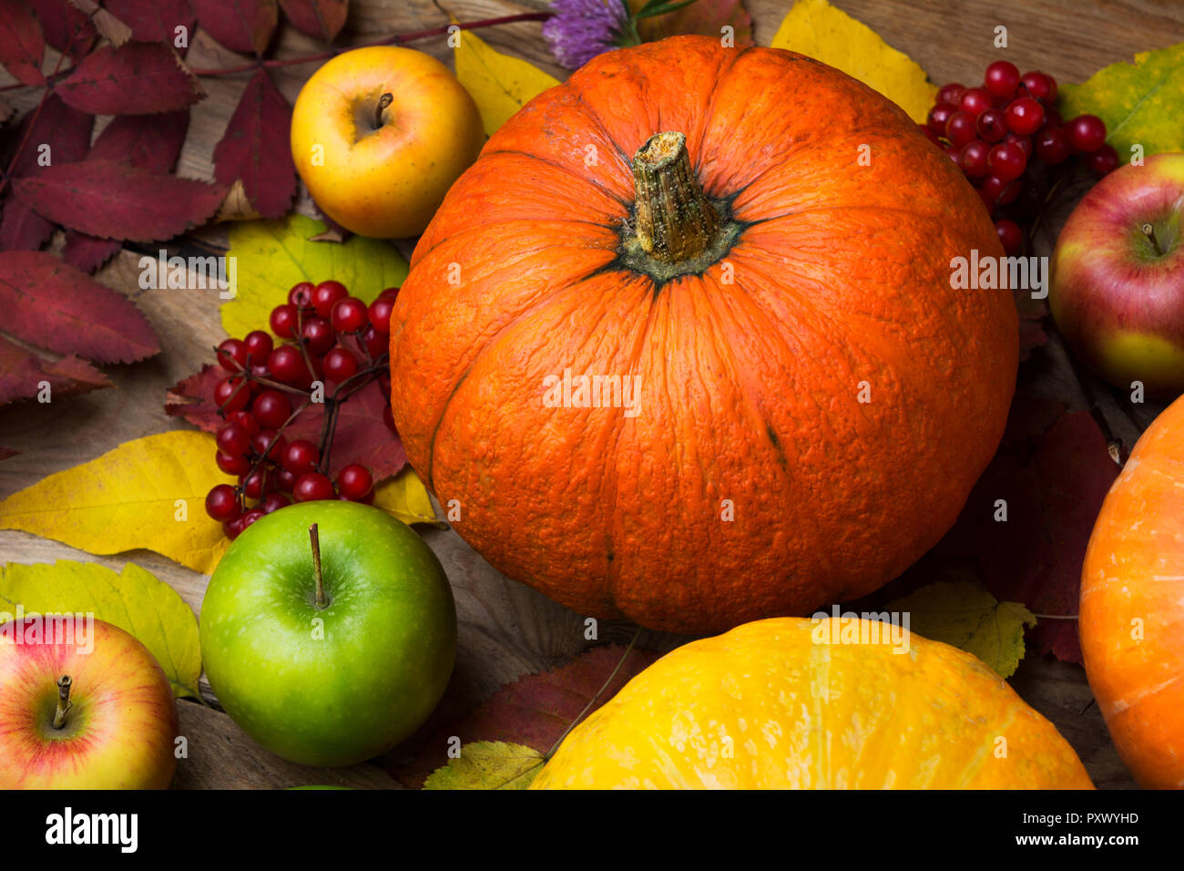 Rustico concetto di caduta con arancione zucca, apple e red viburnum berry sullo sfondo di legno Foto Stock