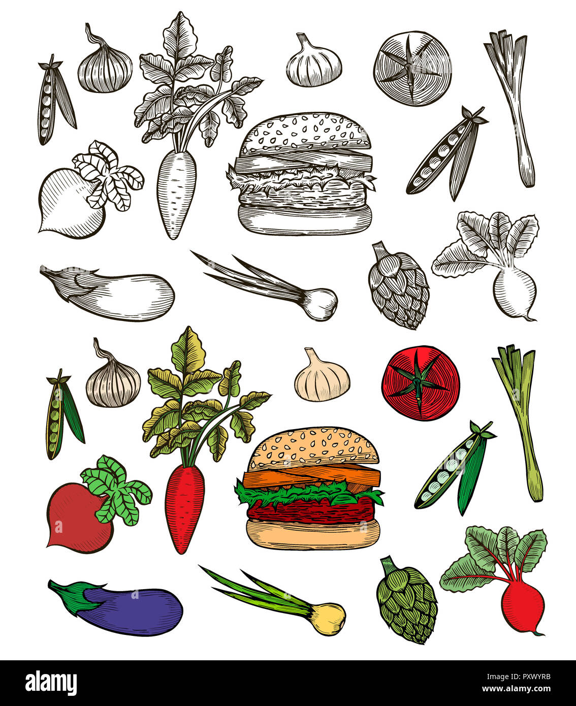 Colorati Set di vegetali con hamburger. Schizzo di pomodoro, carota, melanzana, cipolla, barbabietole, ravanello Foto Stock