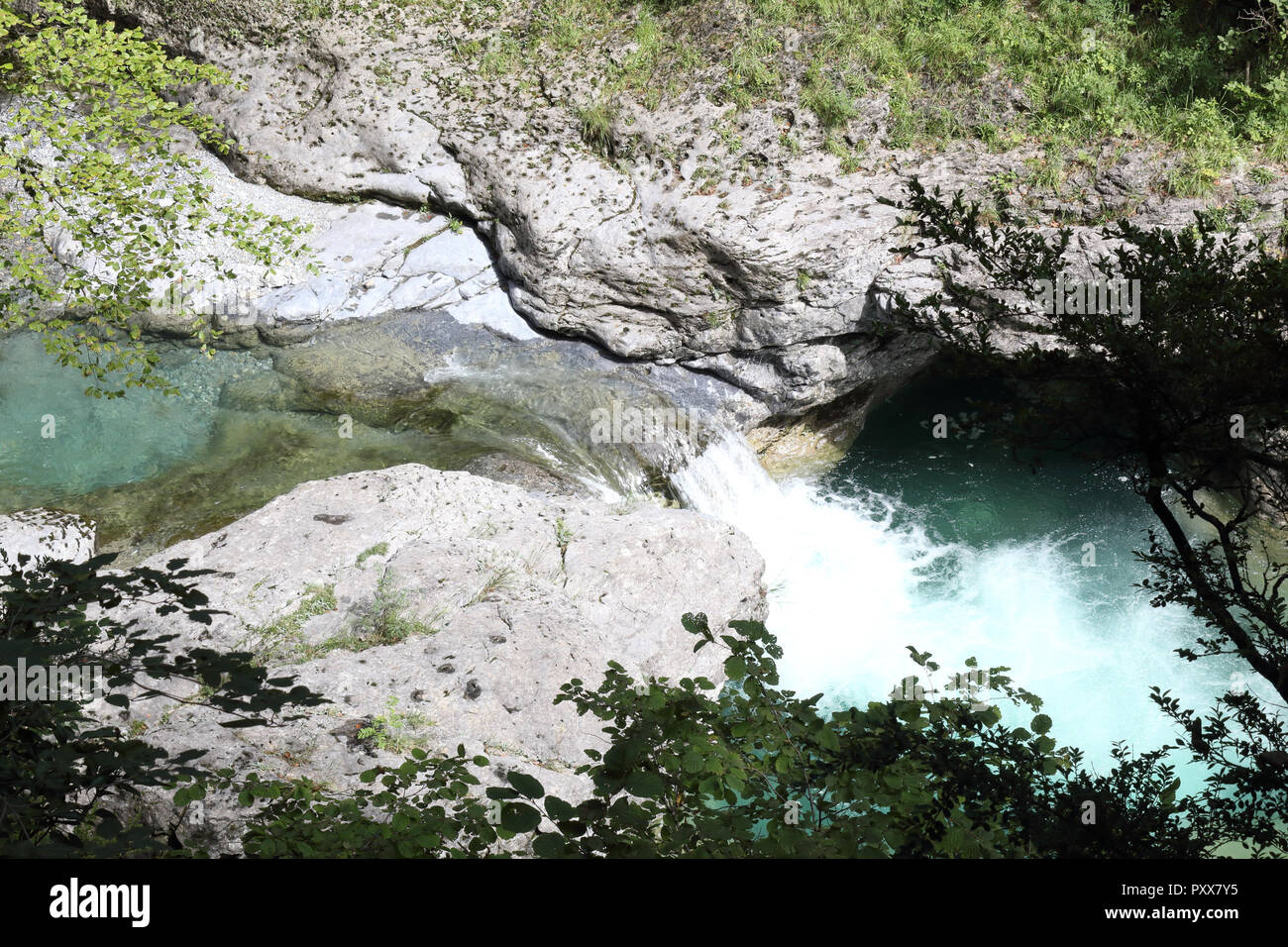 Le cascate e rapide nel Rio Bellos canyon sulla coperta di foresta montagne rocciose nel cañon de Añisclo valle, nella regione di Aragona, Spagna Foto Stock