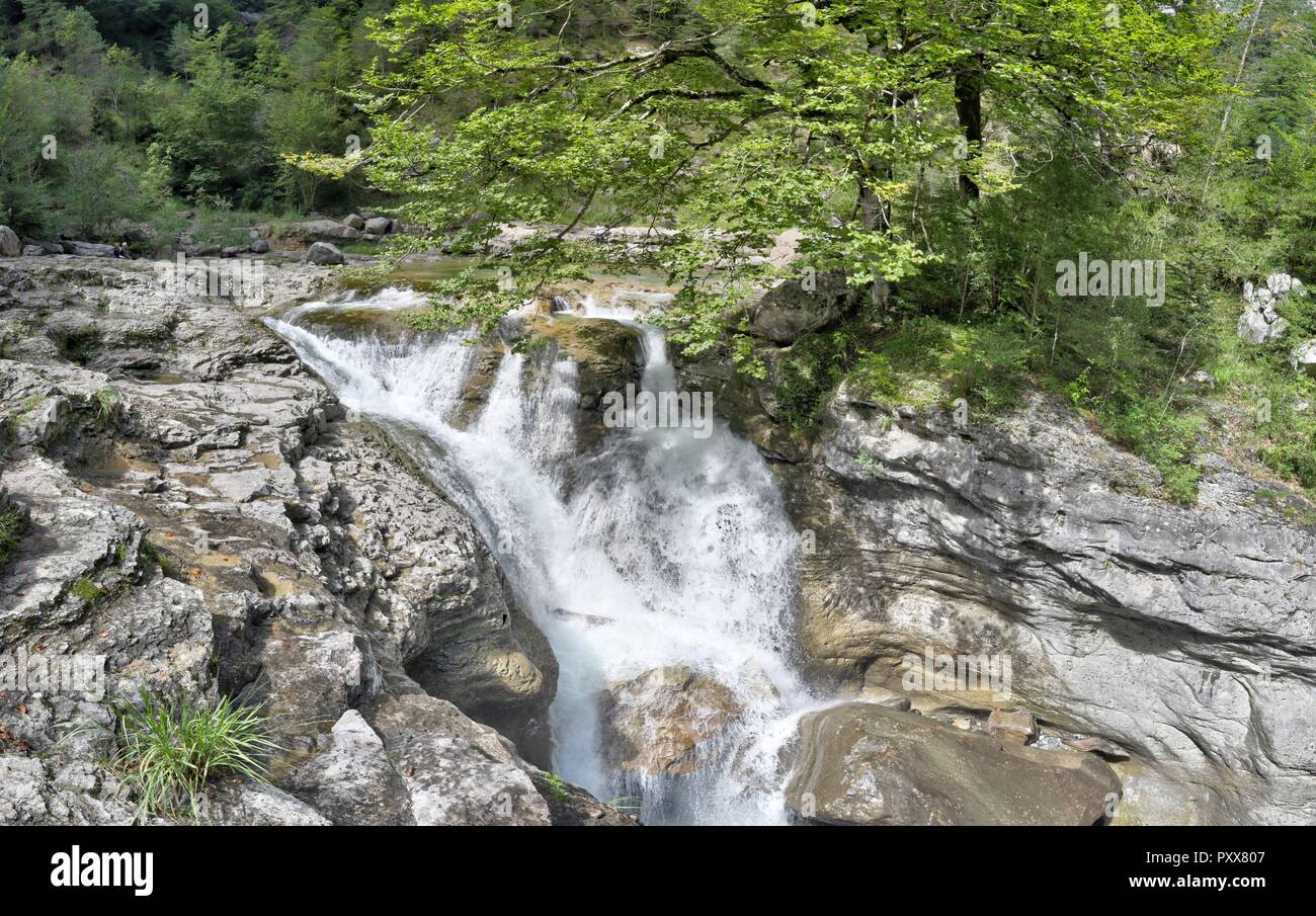 Le cascate e rapide nel Rio Bellos canyon sulla coperta di foresta montagne rocciose nel cañon de Añisclo valle, nella regione di Aragona, Spagna Foto Stock