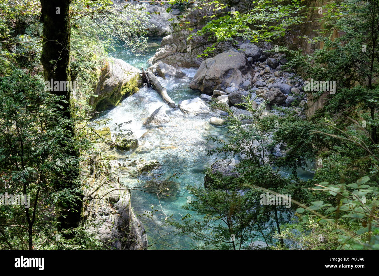 Le cascate e rapide nel Rio Bellos canyon sulla coperta di foresta montagne rocciose nel cañon de Añisclo valle, nella regione di Aragona, Spagna Foto Stock