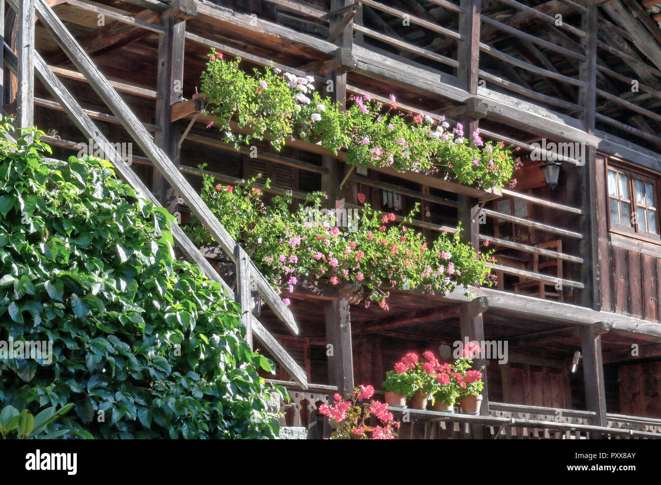 Un tipico lodge Walser, fatta di pietra e con scheda balconi in legno con le piantatrici di fiori e la scala, in Val d'Otro valley, alpi, Italia Foto Stock