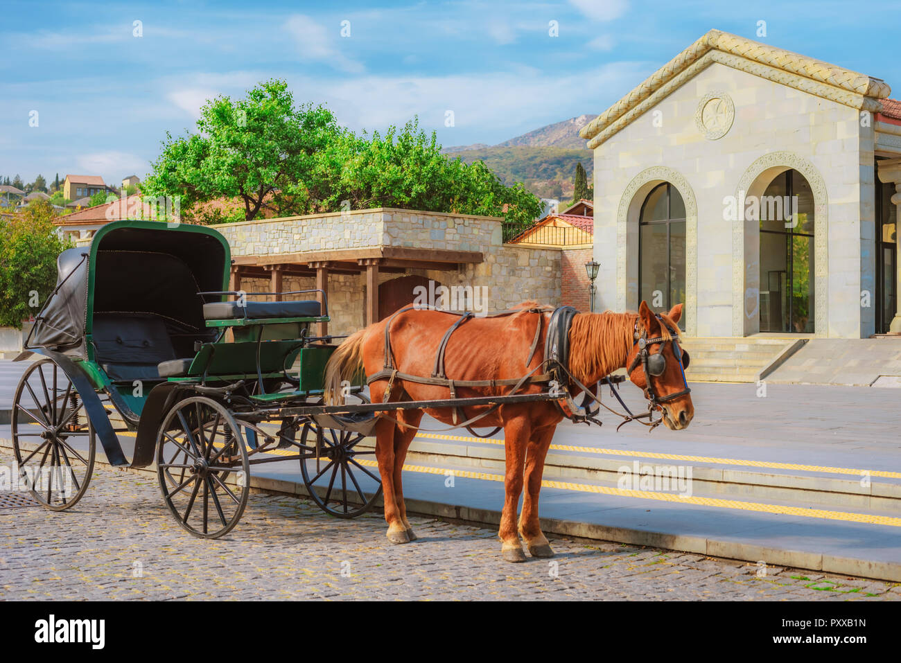 Il cavallo imbrigliato nel trasporto su strada del piccolo sud della cittadina georgiana Foto Stock