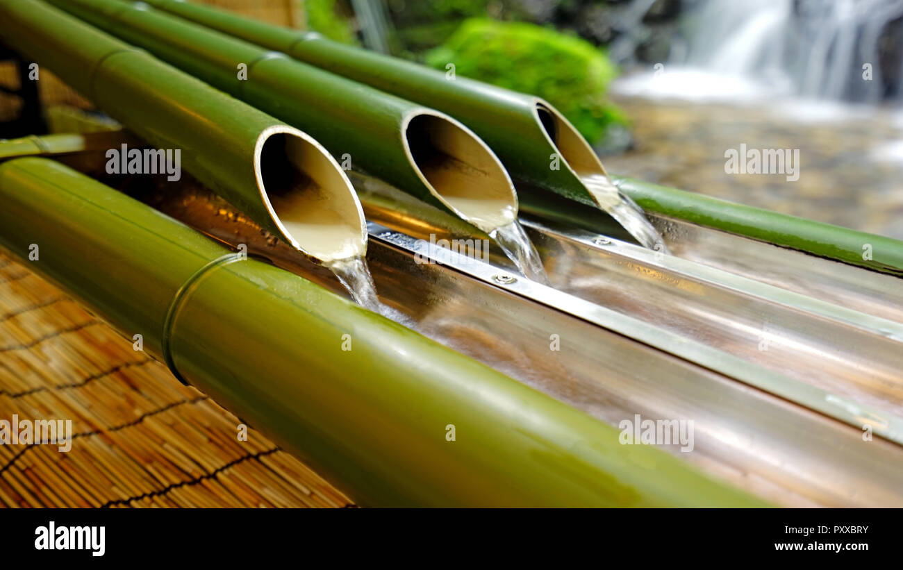 Immagini Stock - Candele Verdi Accese E Decorazioni Di Bambù. Image 43573040