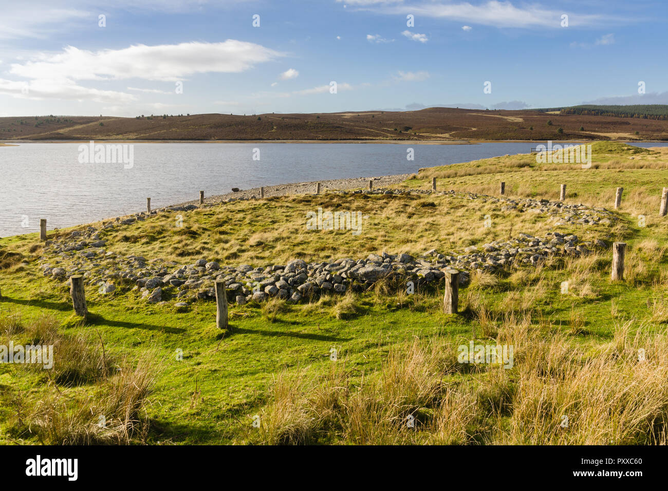 Cerchio in legno e anello cairn Brenig 44 con il tumulo Boncyn Arian o Brenig 45 dietro di esso. Datata al 2000 - 1500 BC e situato a Llyn Brenig Foto Stock