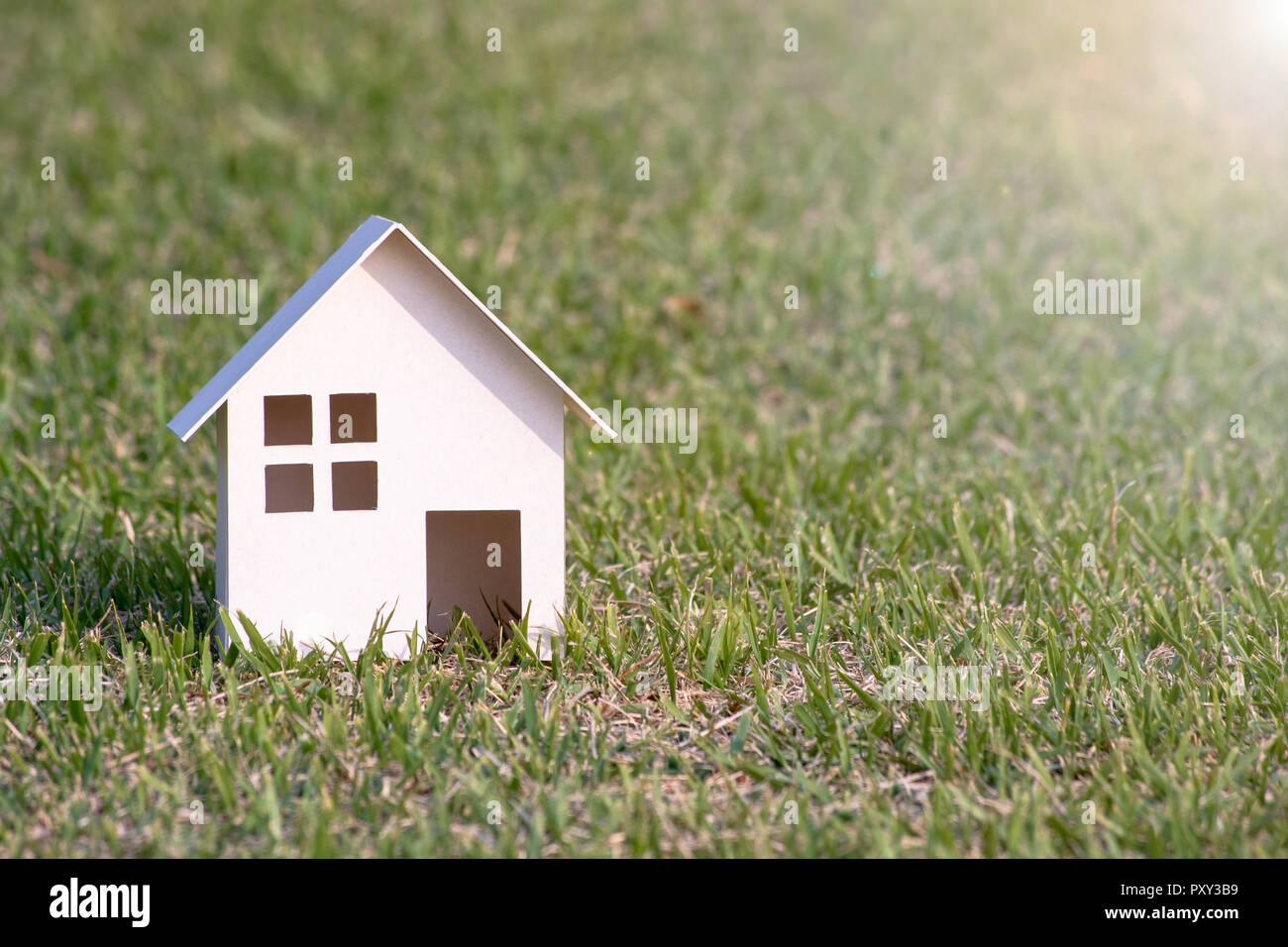 Carta tagliata della casa sulla natura dello sfondo con copia spazio. Foto Stock