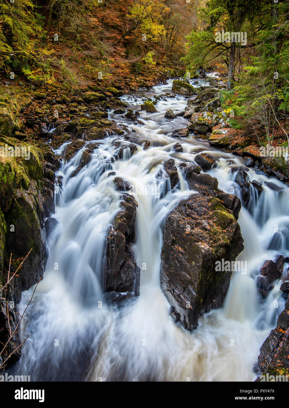 I colori dell'autunno e il fiume Braan presso l'eremo vicino a Dunkeld, Perthshire nelle Highlands della Scozia Foto Stock