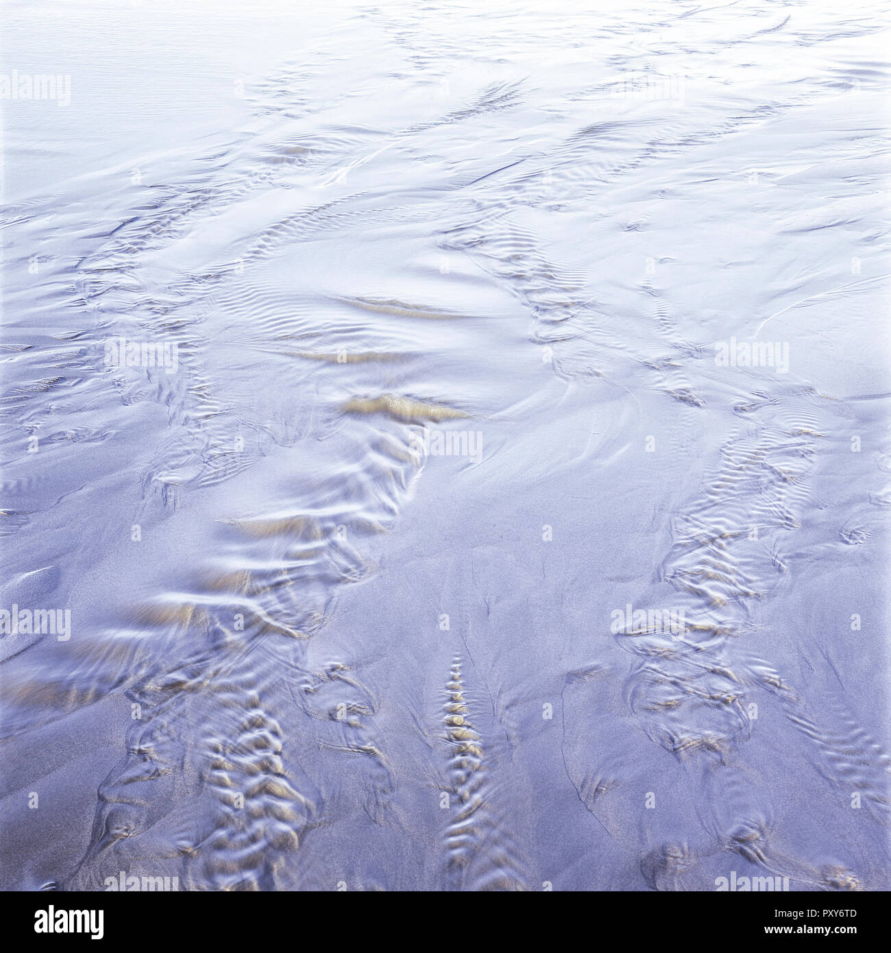 Flaches Land Am Meer 6 Buchstaben Flaches wasser immagini e fotografie stock ad alta risoluzione - Alamy
